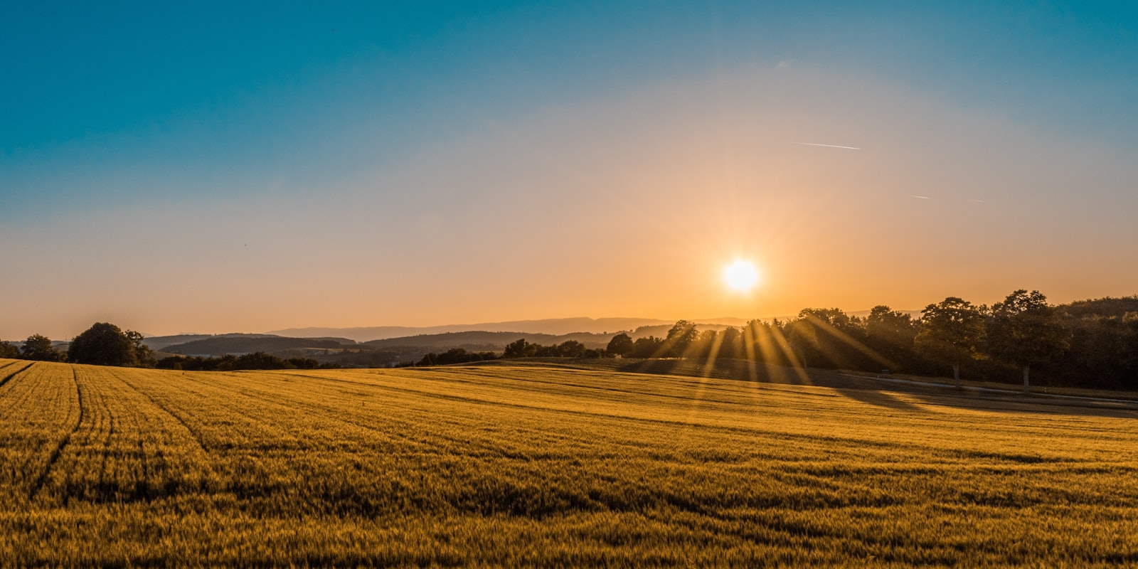Farm fields in Elgin County at sunset